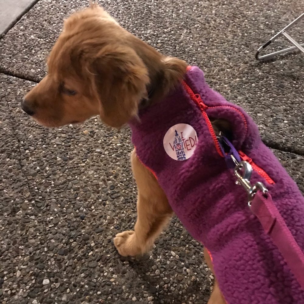 Meet your Posher, Jeff